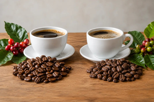 Arabica vs Robusta: Which Coffee Fits Your Cup?